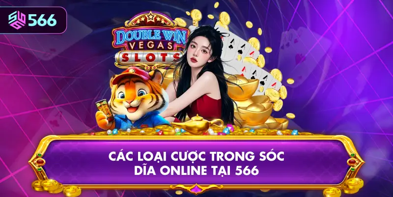 Các Loại Cược Trong Sóc Dĩa Online Tại 566