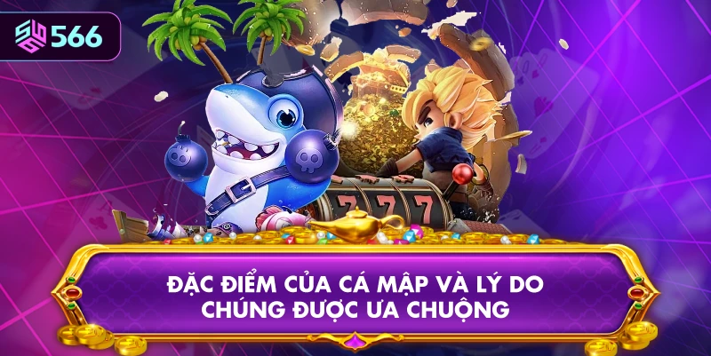 Đặc Điểm Của Cá Mập Và Lý Do Chúng Được Ưa Chuộng